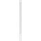 Ekena Millwork Raised Panel PVC Pilaster w/Standard Capital & Base, 6"W x 102"H x 2"P PILP06X102RP01-2 - alternate 3
